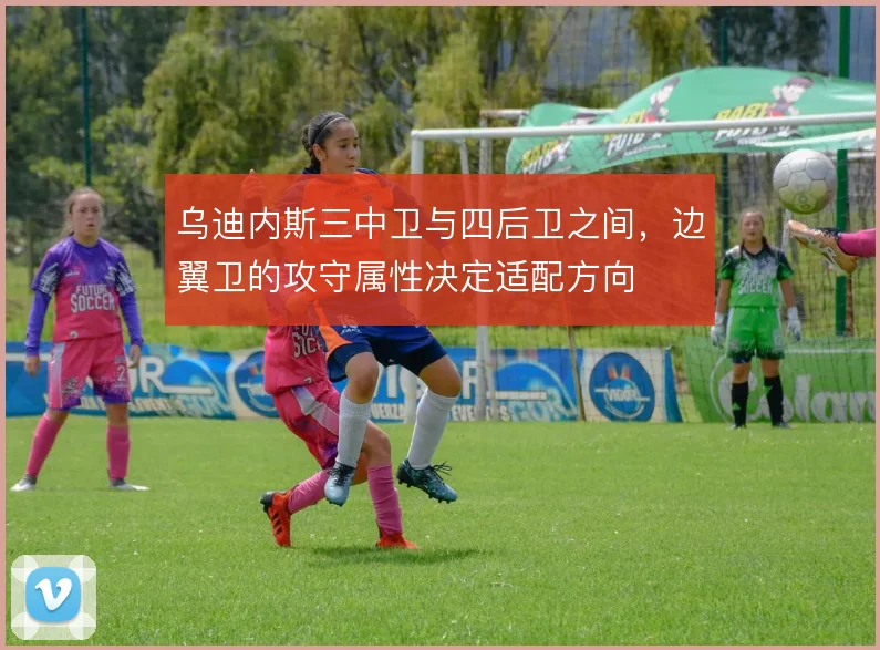 乌迪内斯三中卫与四后卫之间，边翼卫的攻守属性决定适配方向