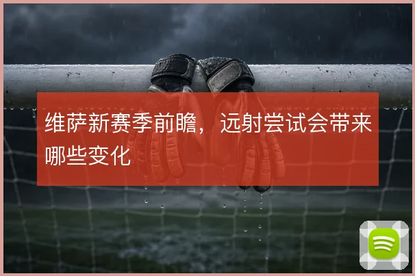 维萨新赛季前瞻,远射尝试会带来哪些变化