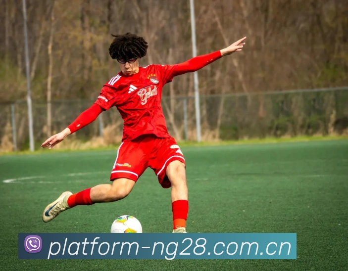 NG28APP 赛事界面图